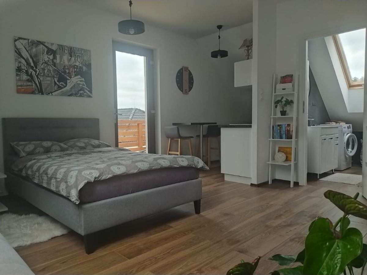 Apartament Muzyczny Jelenia Gora Exterior photo